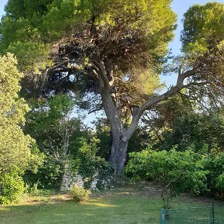 Le Gecko En Provence Villa