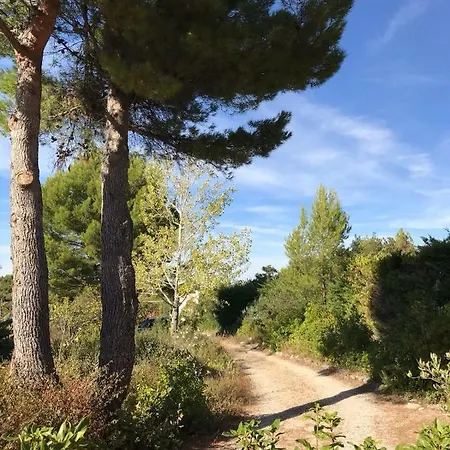 Le Gecko En Provence * La Roque-sur-Pernes