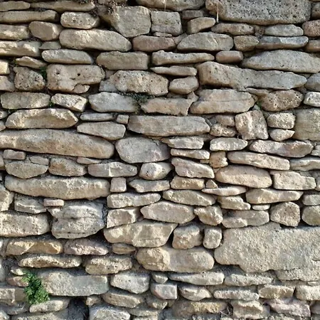 Le Gecko En Provence *