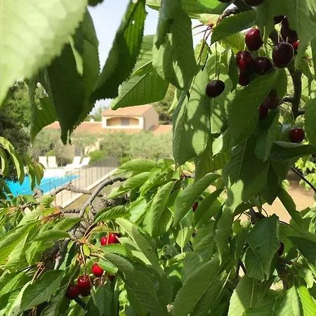 Villa Le Gecko En Provence